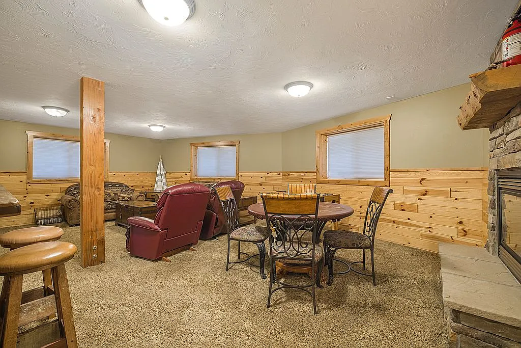 Basement living room